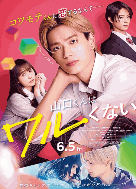 [DVD]  山口くんはワルくない