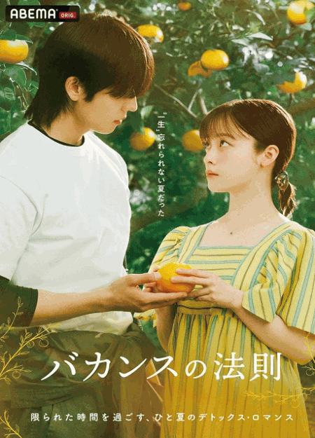 [DVD] バカンスの法則